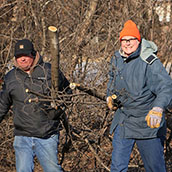 NRR - Buckthorn Hauling.jpg